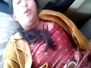 Desi Couple doing mating in car 2